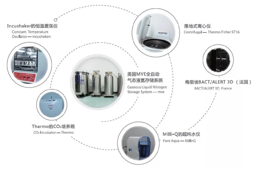 中科干細胞實(shí)驗室設備 中科干細胞實(shí)驗室設備