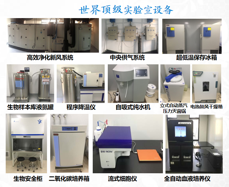 中科干細胞實(shí)驗室設備 中科干細胞實(shí)驗室設備