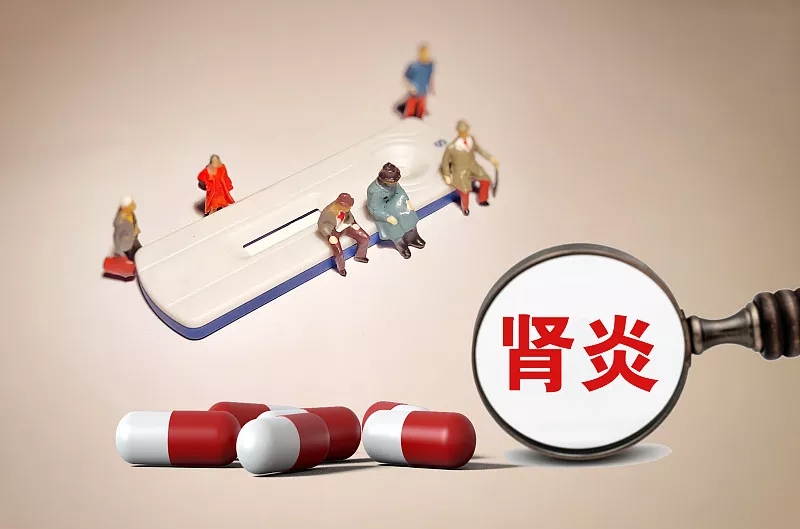 間充質(zhì)干細胞發(fā)揮免疫調節活性治療狼瘡腎炎