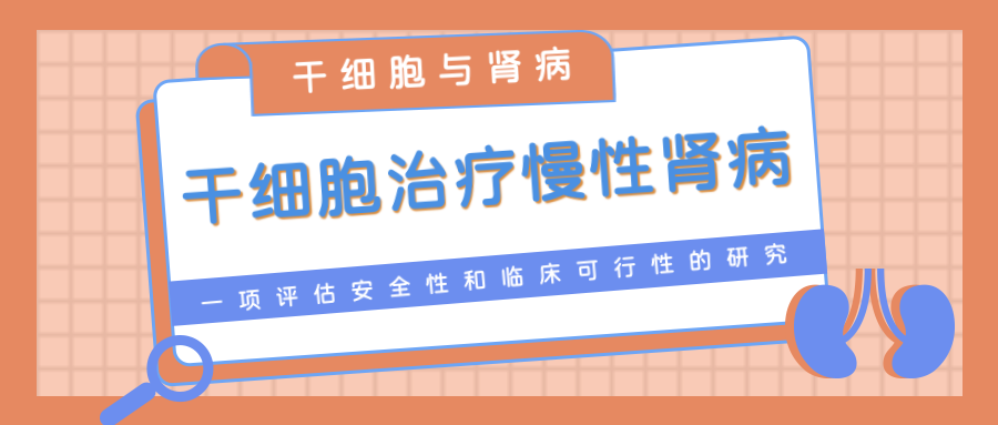干細胞治療慢性腎病臨床研究