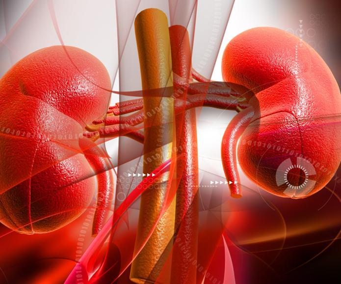 慢性腎臟病第三階段：原因、癥狀和治療