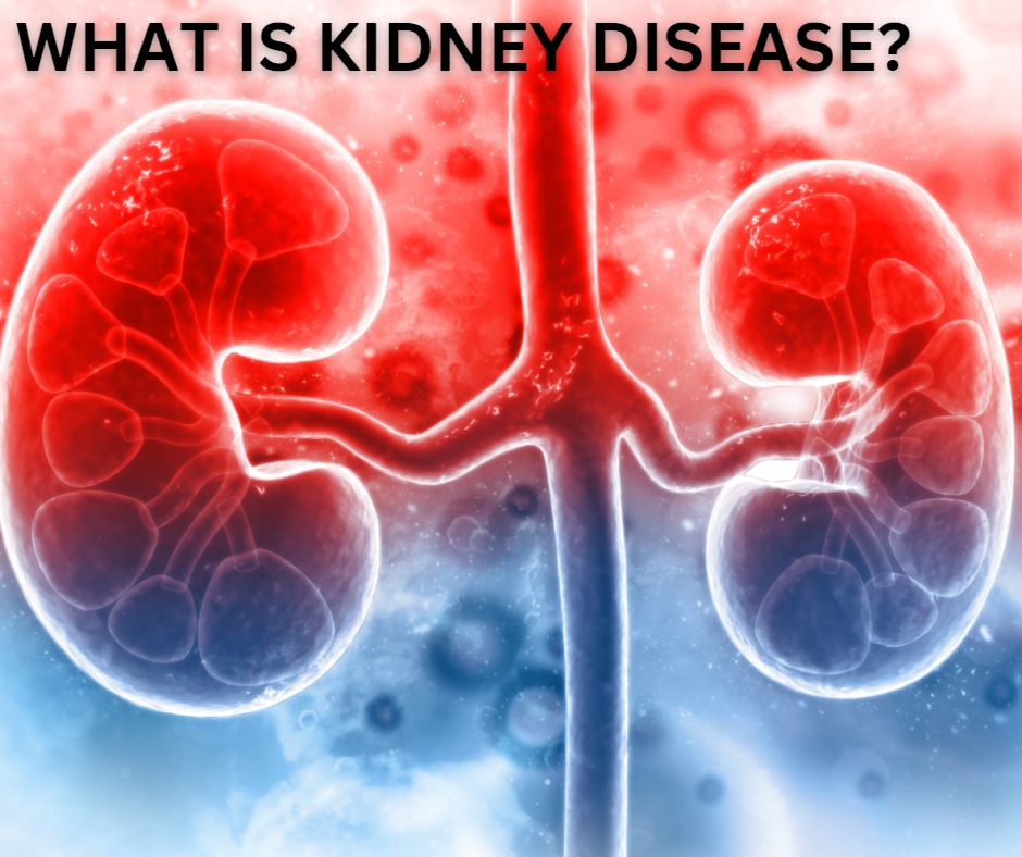 慢性腎病的干細胞療法 慢性腎病的干細胞療法