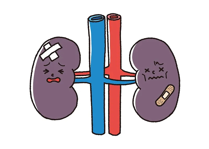 什么是終末期腎病 (ESRD) -原因-癥狀-治療 什么是終末期腎病 (ESRD) -原因-癥狀-治療