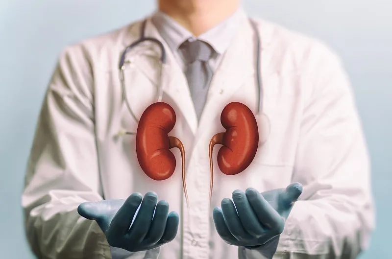 慢性腎臟病階段：癥狀、治療和預防