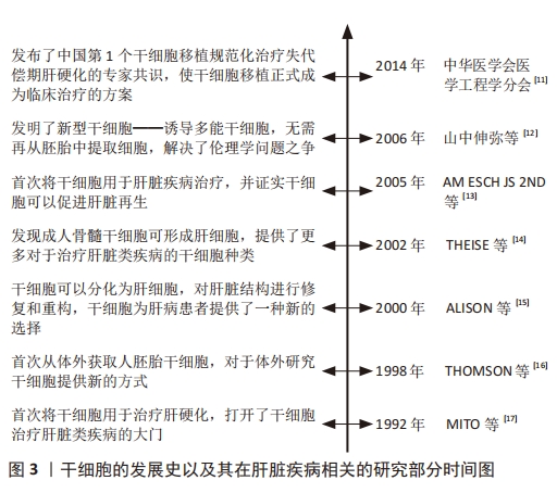 圖 3 ｜干細胞的發(fā)展史以及其在肝臟疾病相關(guān)的研究部分時(shí)間圖