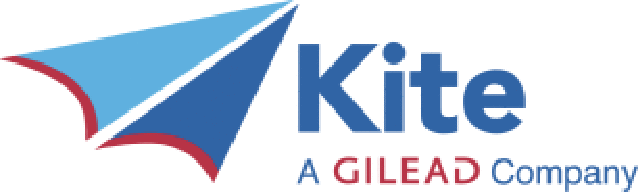kite