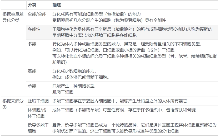 表2：干細胞的分類(lèi)