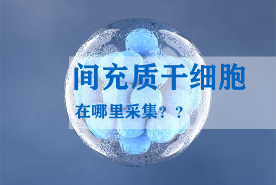 間充質(zhì)干細胞在哪里采集？