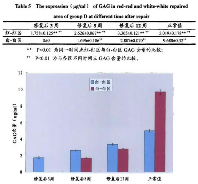 D組修復后不同時(shí)間紅-紅、白-白修復區GAG的表達（μg/ml）