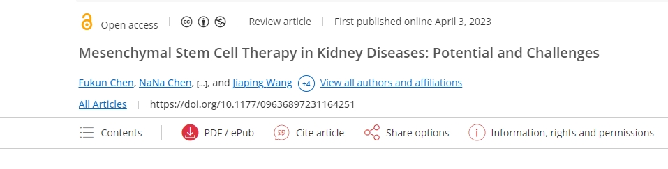 間充質(zhì)干細胞治療腎臟疾?。簼摿εc挑戰
