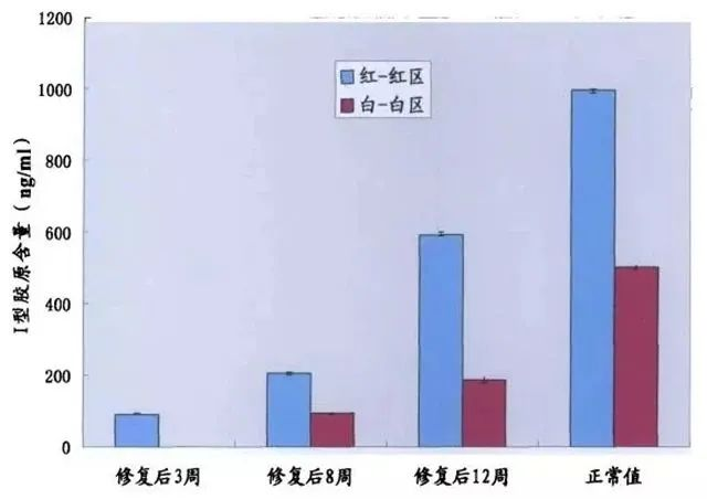 讓1例32歲女性半月板損傷患者的軟骨得到重建
