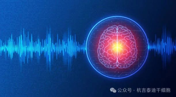 01神經(jīng)系統疾病的簡(jiǎn)介與背景 01神經(jīng)系統疾病的簡(jiǎn)介與背景