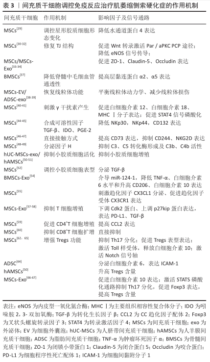 間充質(zhì)干細胞調控免疫反應治療肌萎縮側索硬化癥的作用機制