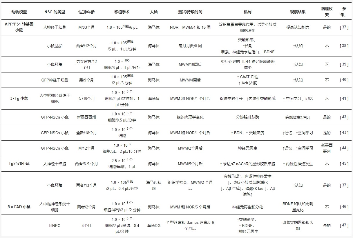 表1：小鼠模型中的神經(jīng)干細胞移植