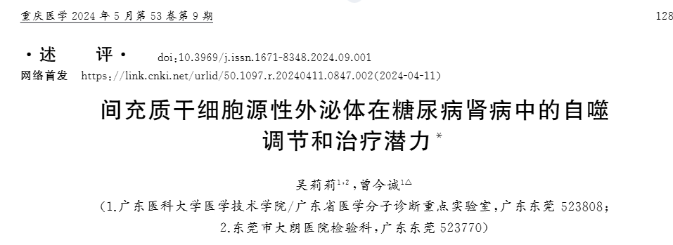間充質(zhì)干細胞源性外泌體在糖尿病腎病中的自噬調節和治療潛力