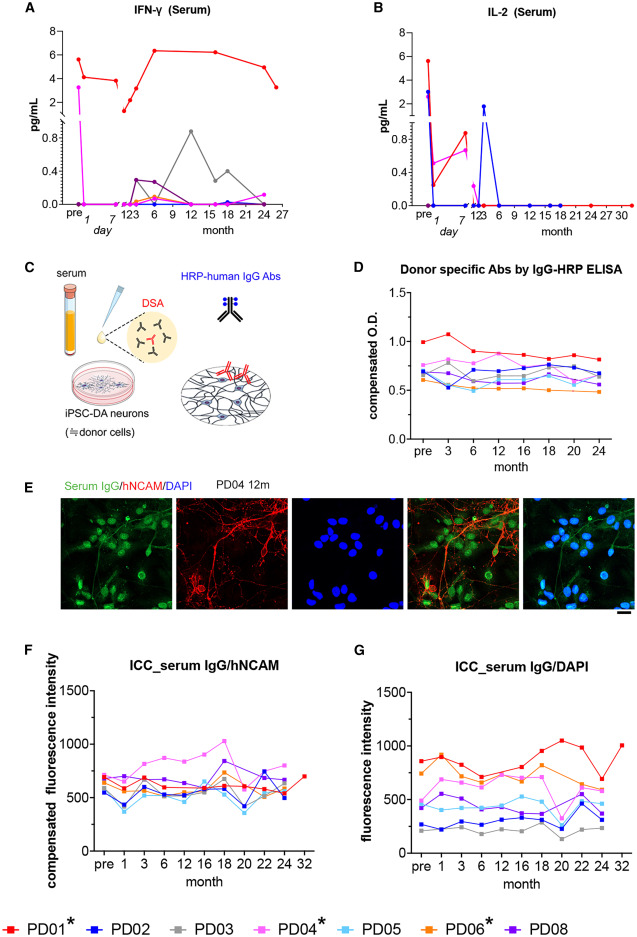 圖3：移植后隨時(shí)間推移的血清免疫反應指標