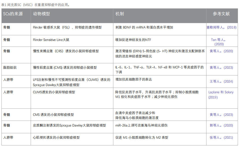 干細胞療法